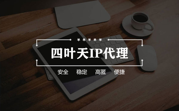 【惠东代理IP】如何快速搭建代理IP？怎么检查代理的效果？